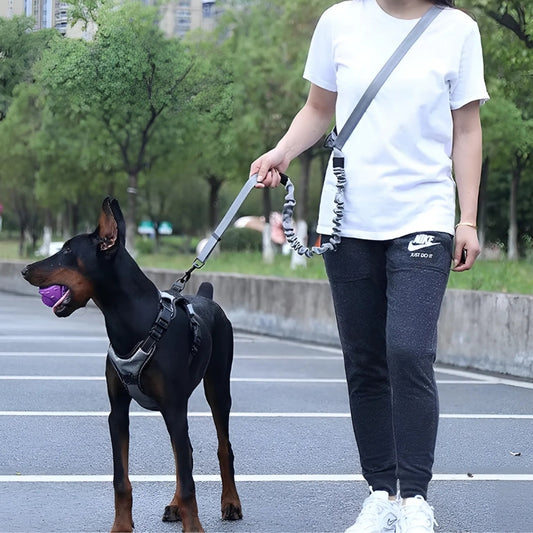 Handsfree Reflexkoppel