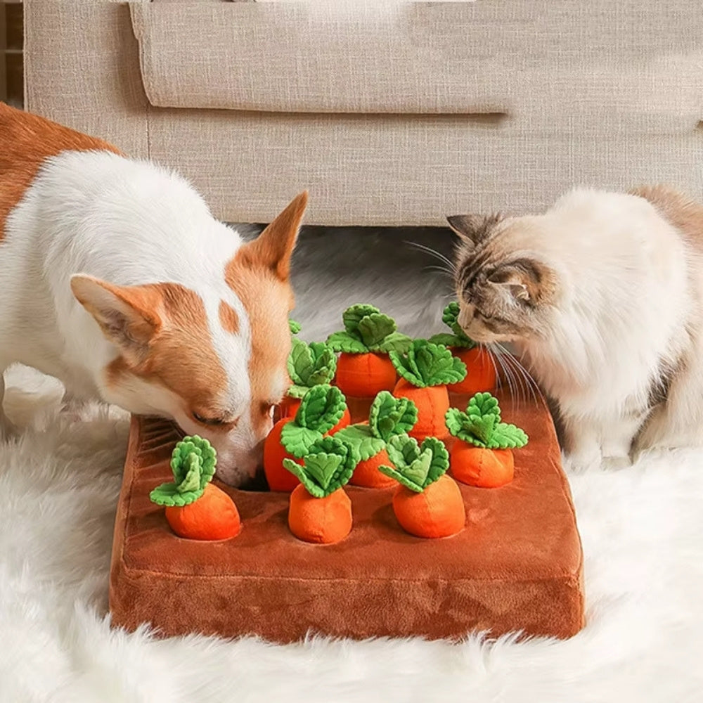 Morots­pussel Hund & Katt